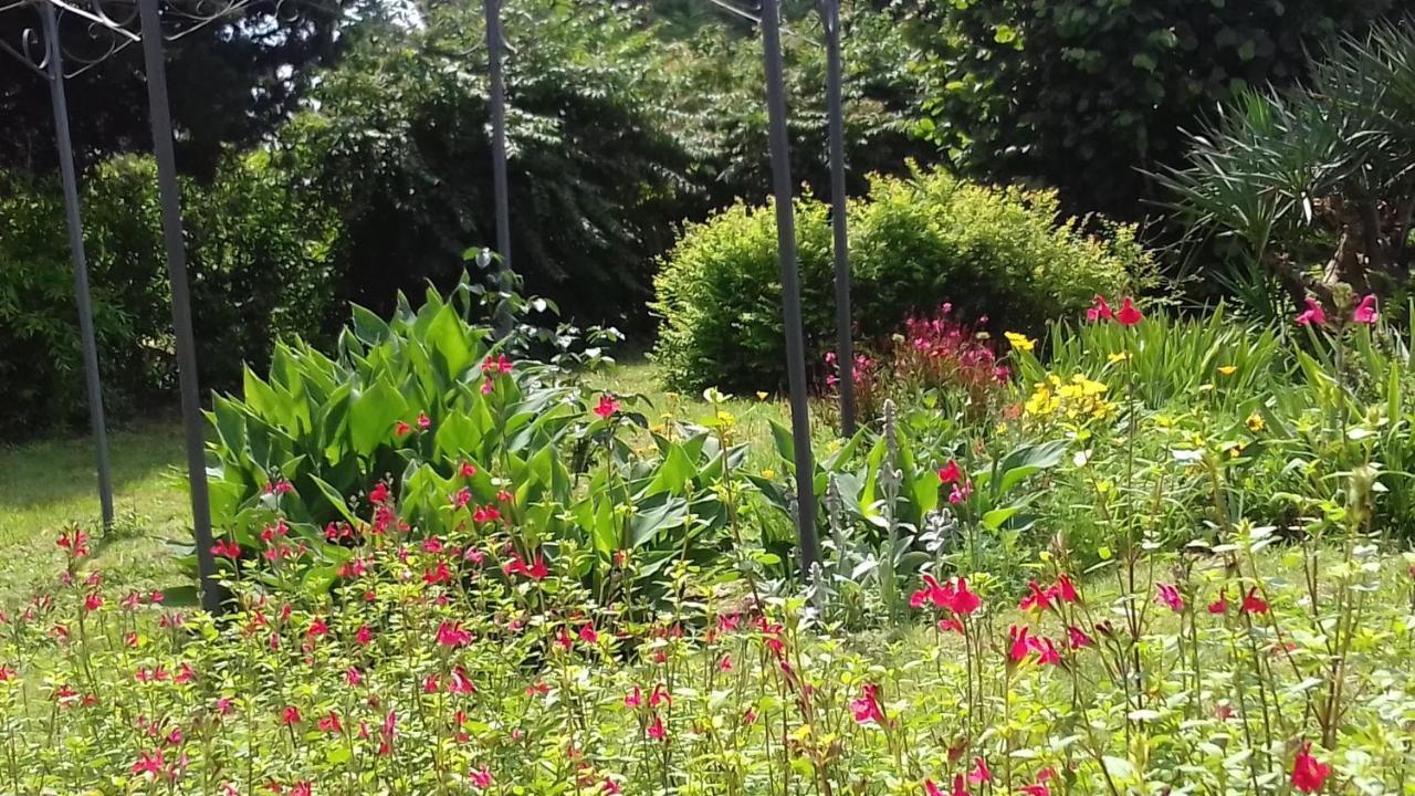 Pezens La Madeleine B&B 외부 사진